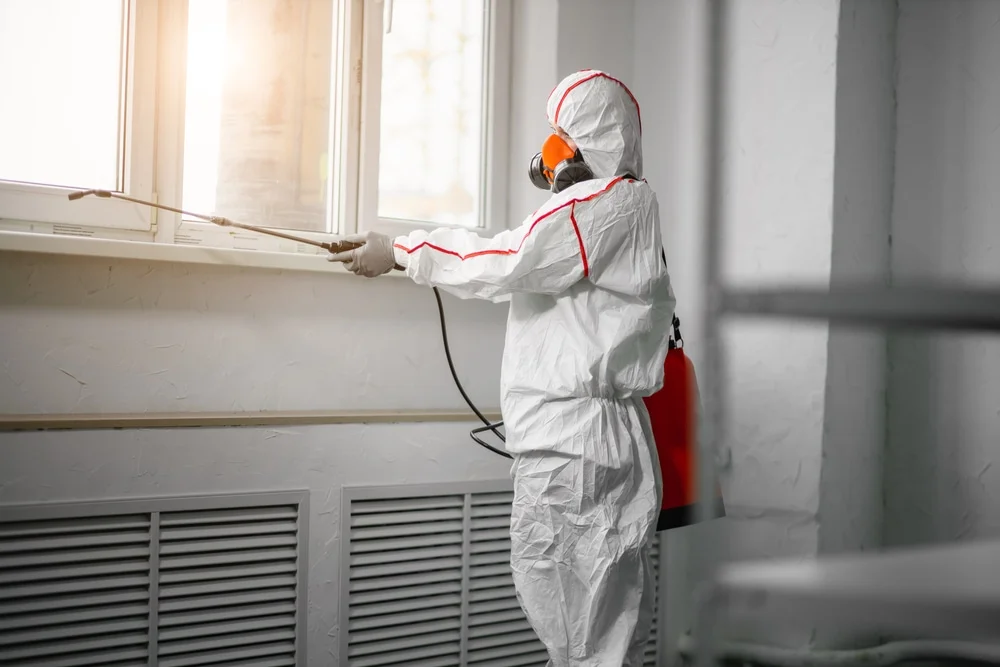 Professional mold remediation services in Ashland, NH